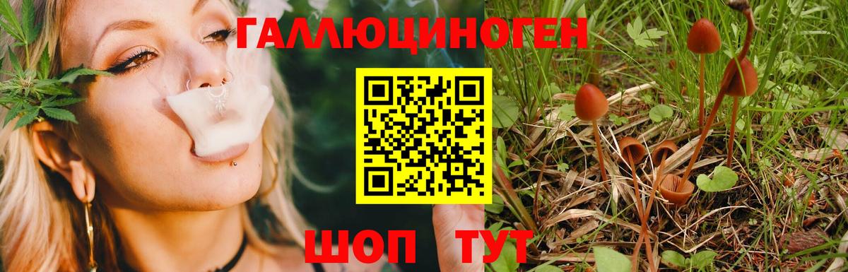 Петрозаводск  Галлюциногенные грибы мухоморы  Вход с VPN 